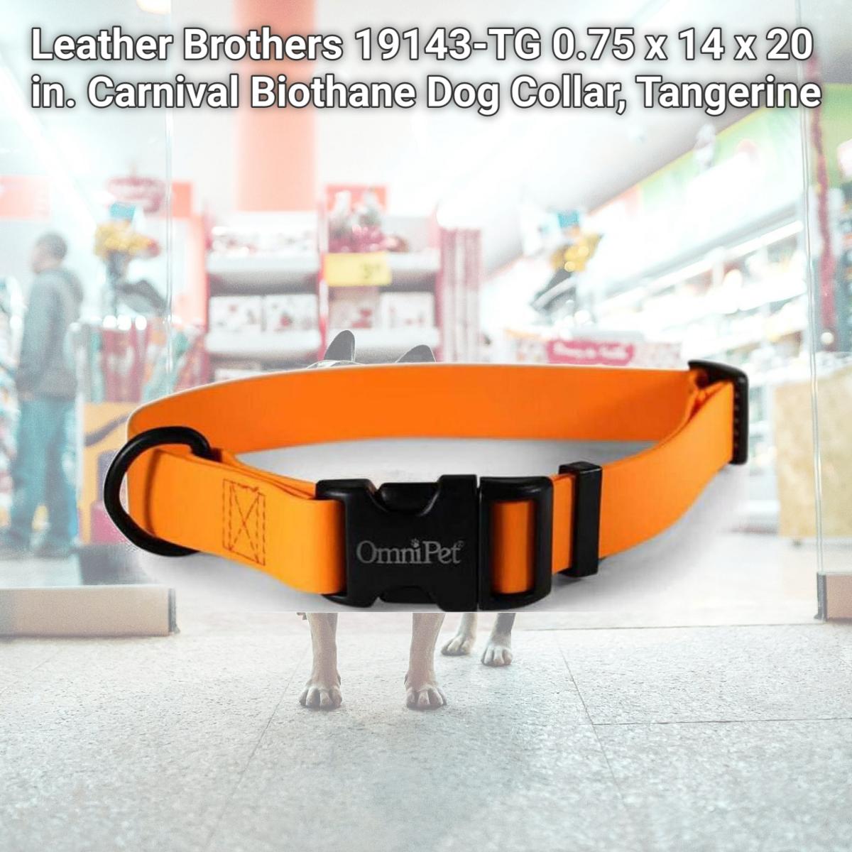 Picture of Leather Brothers 19143-TG 0.75 x 14 x 20 in. Carnival Biothane Dog Collar, Tangerine