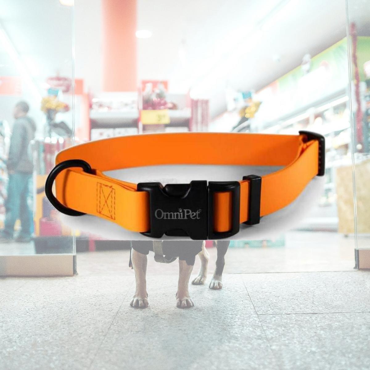 Picture of Leather Brothers 19143-TG 0.75 x 14 x 20 in. Carnival Biothane Dog Collar, Tangerine