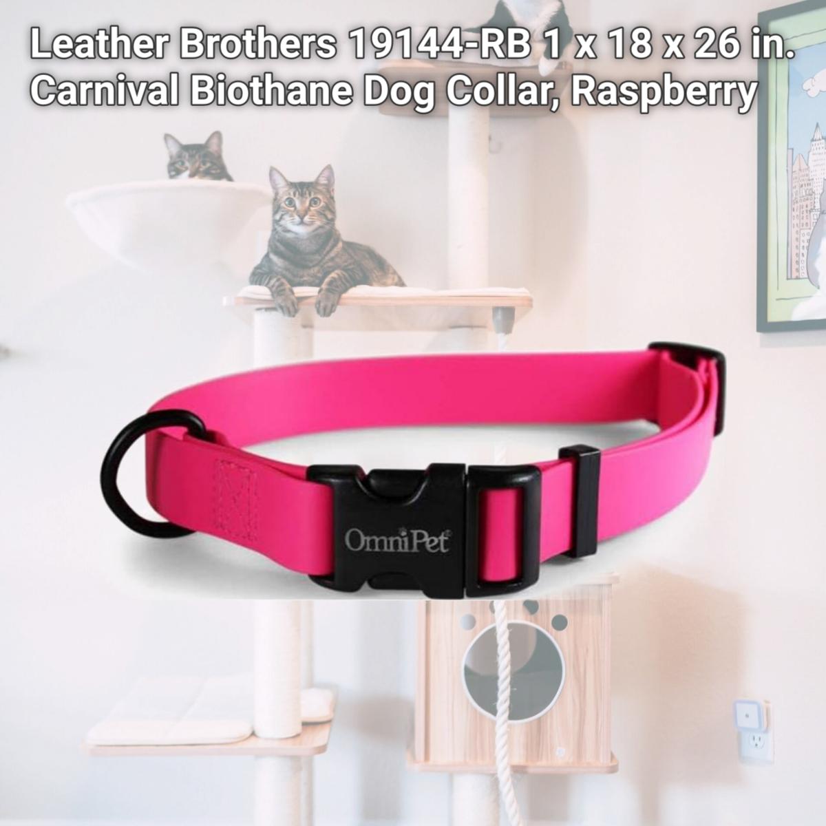 Picture of Leather Brothers 19144-RB 1 x 18 x 26 in. Carnival Biothane Dog Collar, Raspberry