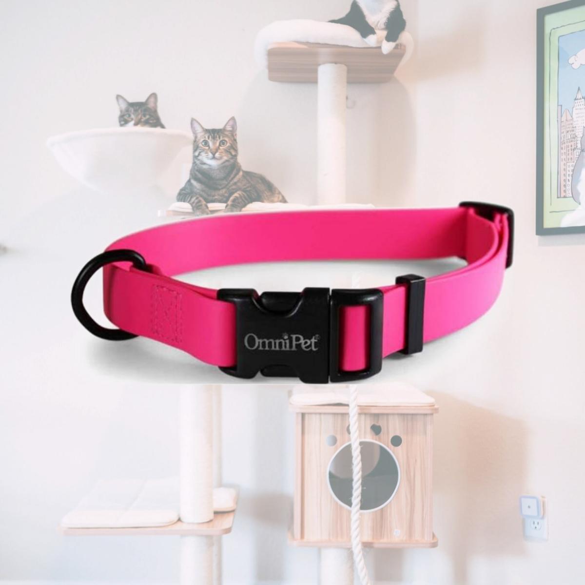 Picture of Leather Brothers 19144-RB 1 x 18 x 26 in. Carnival Biothane Dog Collar, Raspberry