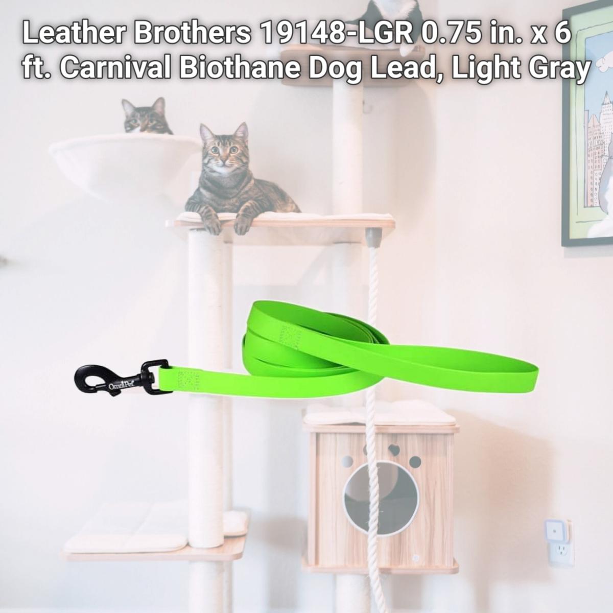 Picture of Leather Brothers 19148-LGR 0.75 in. x 6 ft. Carnival Biothane Dog Lead, Light Gray