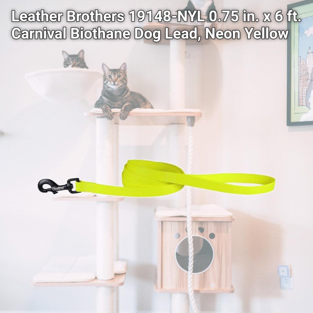 Picture of Leather Brothers 19148-NYL 0.75 in. x 6 ft. Carnival Biothane Dog Lead, Neon Yellow