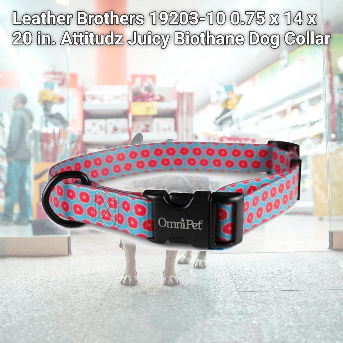 Picture of Leather Brothers 19203-10 0.75 x 14 x 20 in. Attitudz Juicy Biothane Dog Collar