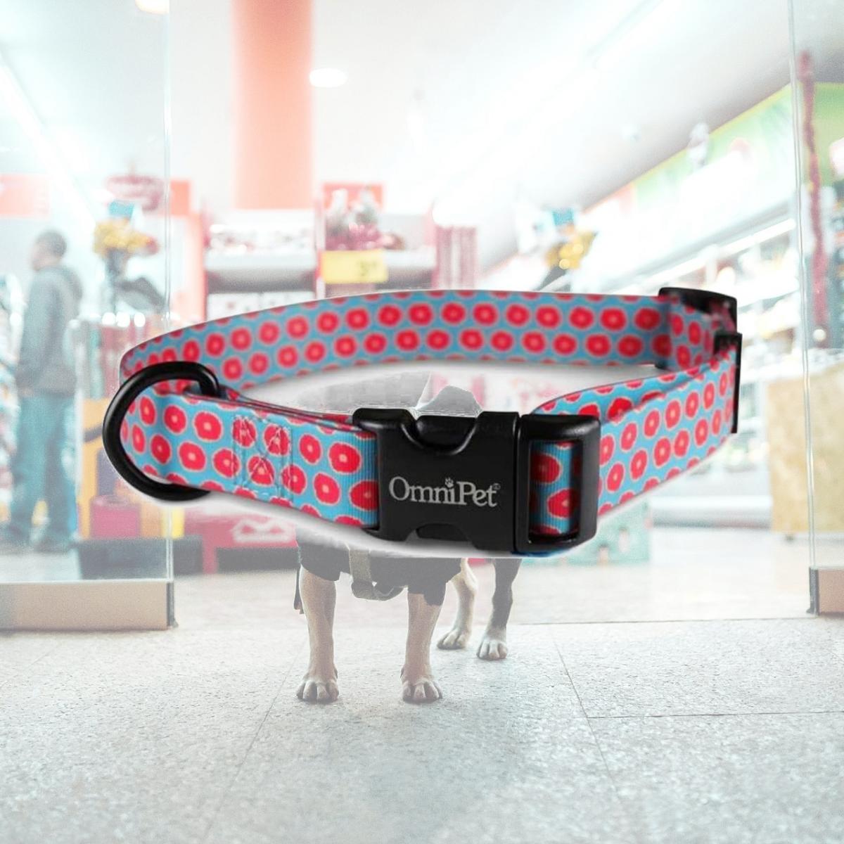 Picture of Leather Brothers 19203-10 0.75 x 14 x 20 in. Attitudz Juicy Biothane Dog Collar