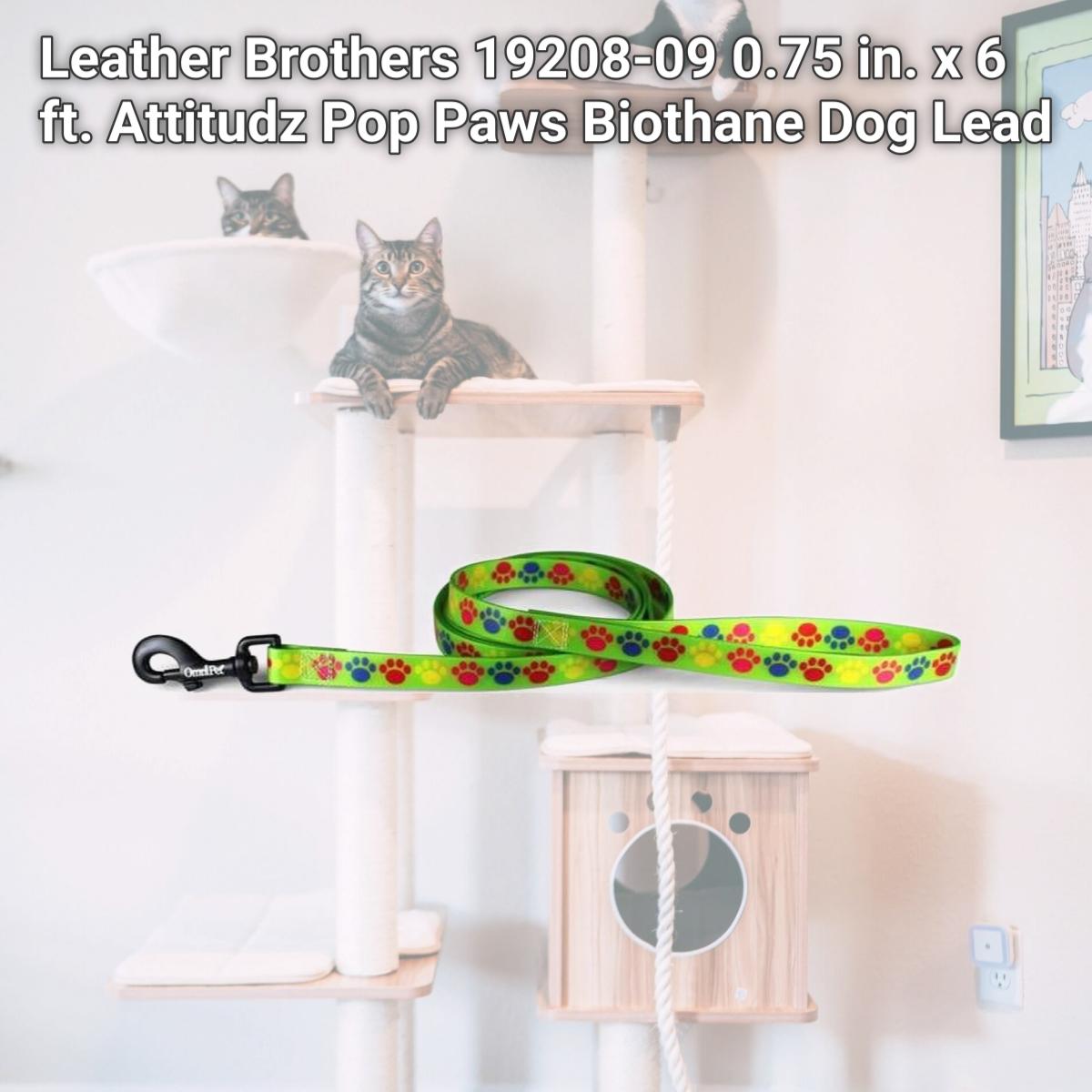 Picture of Leather Brothers 19208-09 0.75 in. x 6 ft. Attitudz Pop Paws Biothane Dog Lead