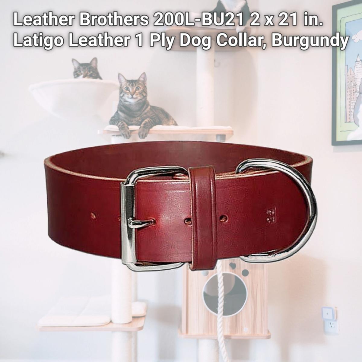 Picture of Leather Brothers 200L-BU21 2 x 21 in. Latigo Leather 1 Ply Dog Collar, Burgundy