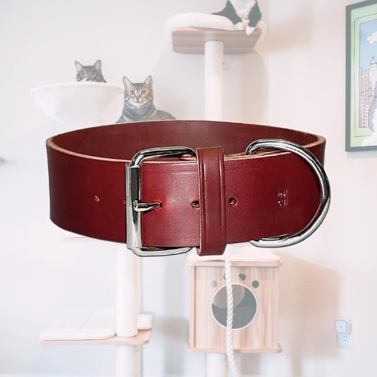 Picture of Leather Brothers 200L-BU21 2 x 21 in. Latigo Leather 1 Ply Dog Collar, Burgundy