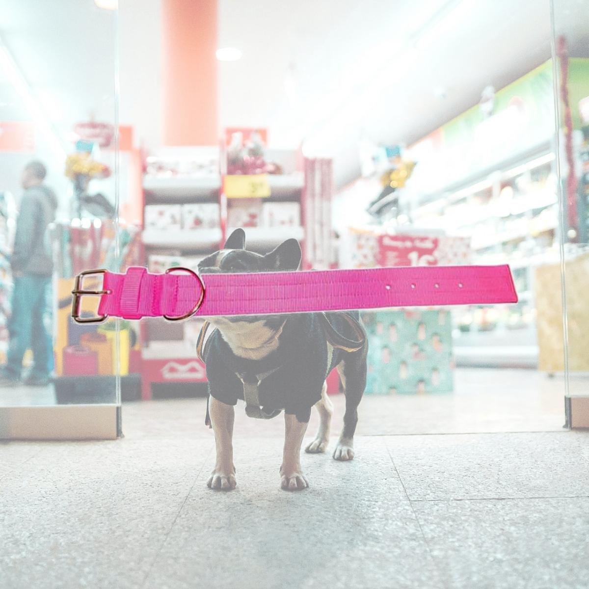 Picture of Leather Brothers 200N-NPK23 2 x 23 in. Bravo 2 Ply Nylon Dog Collar, Neon Pink