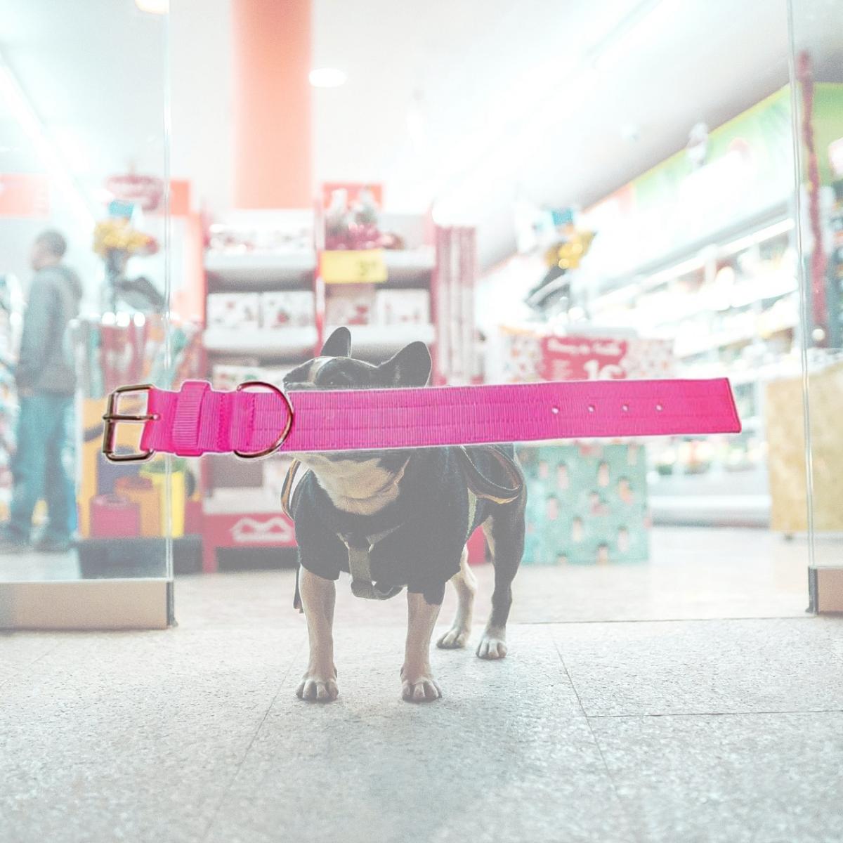 Picture of Leather Brothers 200N-NPK27 2 x 27 in. Bravo 2 Ply Nylon Dog Collar, Neon Pink