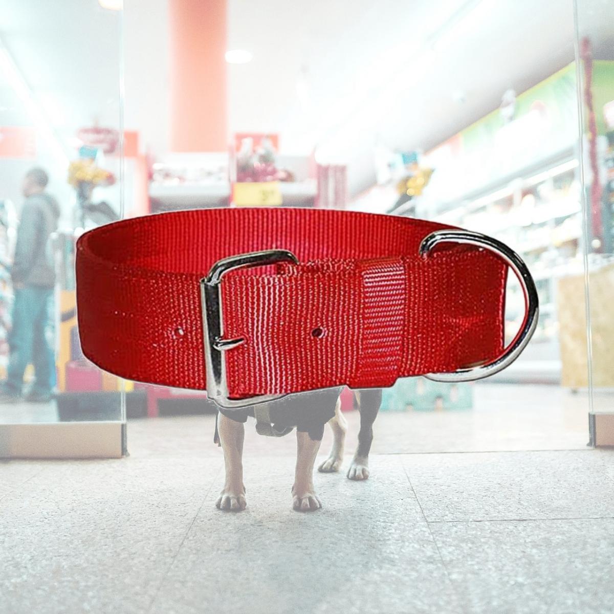 Picture of Leather Brothers 200N-RD25 2 x 25 in. Bravo 2 Ply Nylon Dog Collar, Red