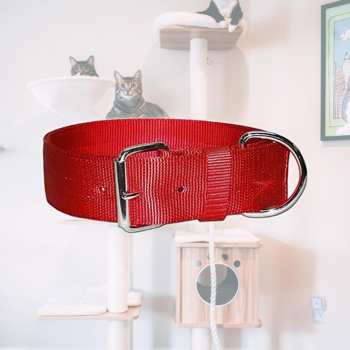 Picture of Leather Brothers 200N-RD27 2 x 27 in. Bravo 2 Ply Nylon Dog Collar, Red