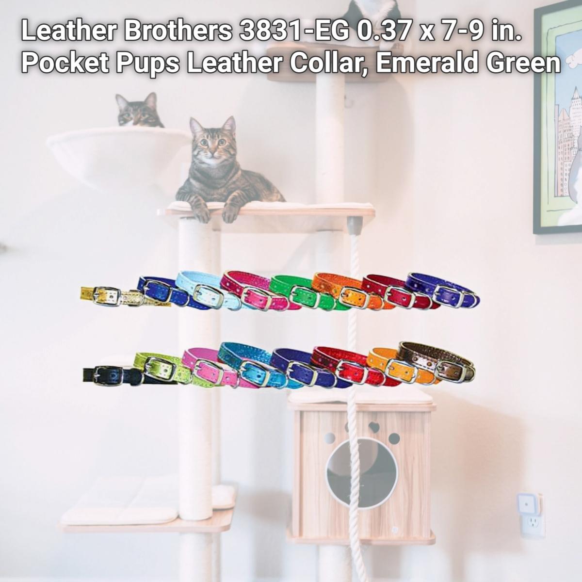 Picture of Leather Brothers 3831-EG 0.37 x 7-9 in. Pocket Pups Leather Collar, Emerald Green