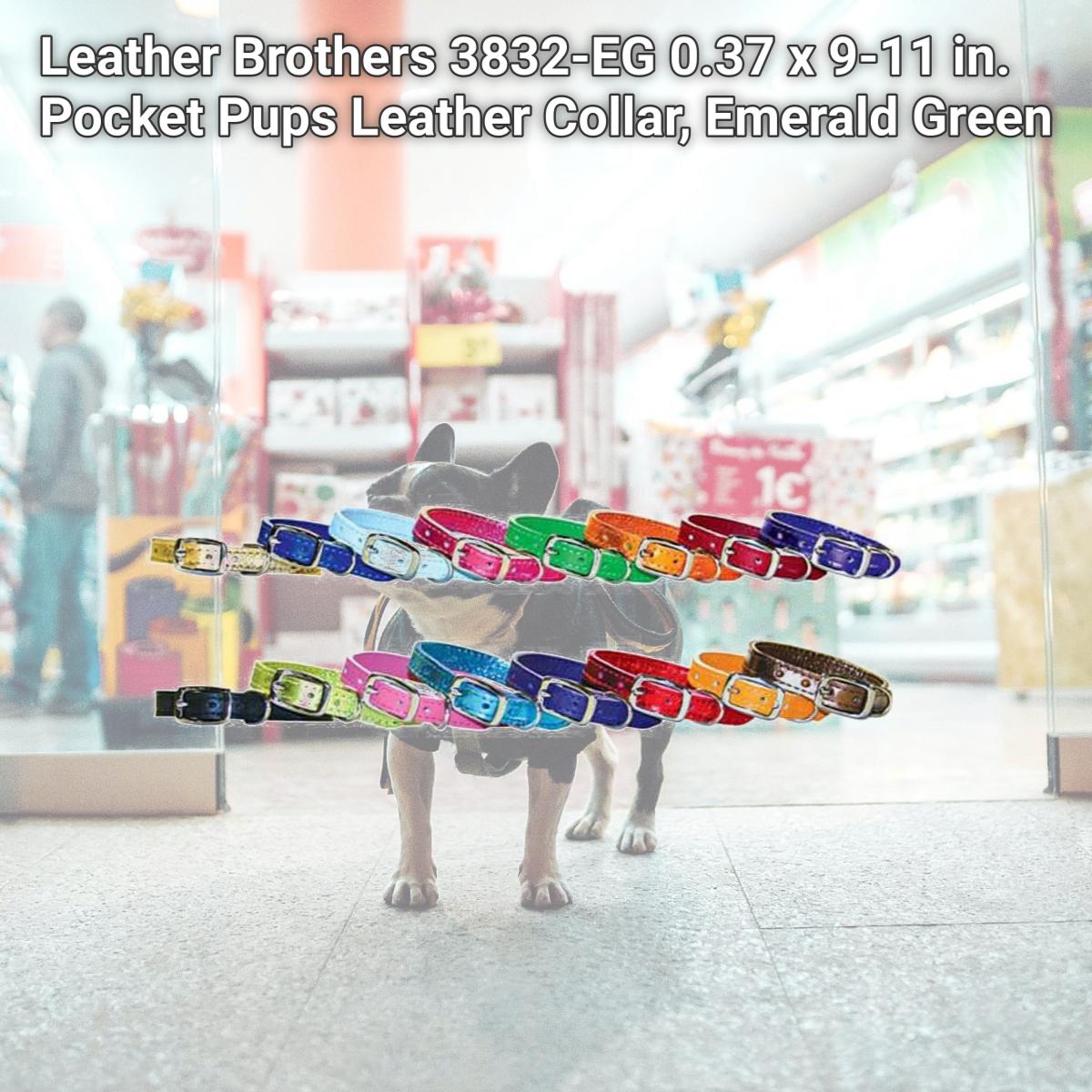 Picture of Leather Brothers 3832-EG 0.37 x 9-11 in. Pocket Pups Leather Collar, Emerald Green