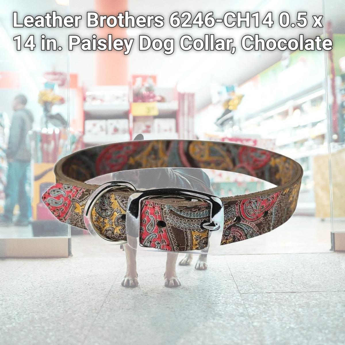 Picture of Leather Brothers 6246-CH14 0.5 x 14 in. Paisley Dog Collar, Chocolate