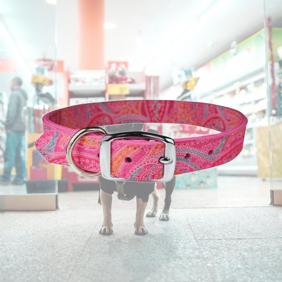 Picture of Leather Brothers 6247-PK16 0.75 x 16 in. Paisley Dog Collar, Pink