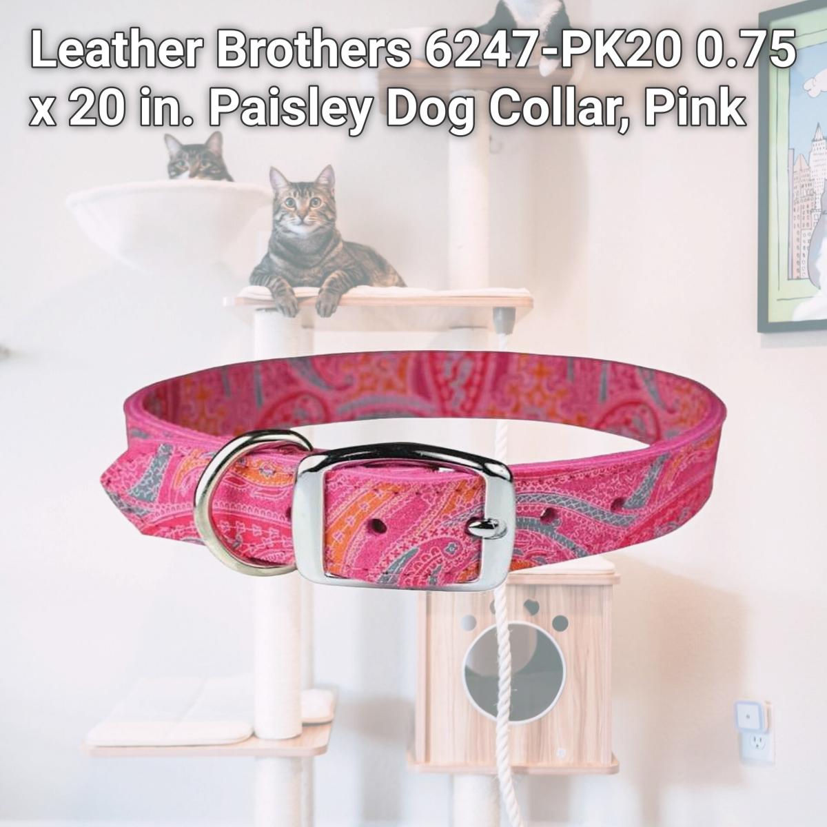 Picture of Leather Brothers 6247-PK20 0.75 x 20 in. Paisley Dog Collar, Pink
