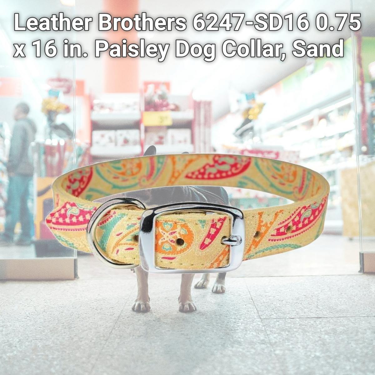 Picture of Leather Brothers 6247-SD16 0.75 x 16 in. Paisley Dog Collar, Sand