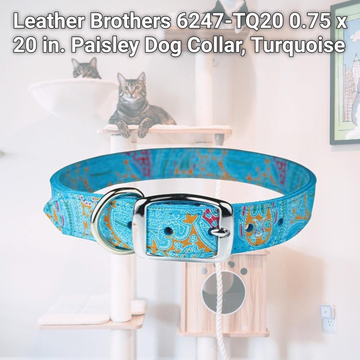 Picture of Leather Brothers 6247-TQ20 0.75 x 20 in. Paisley Dog Collar, Turquoise