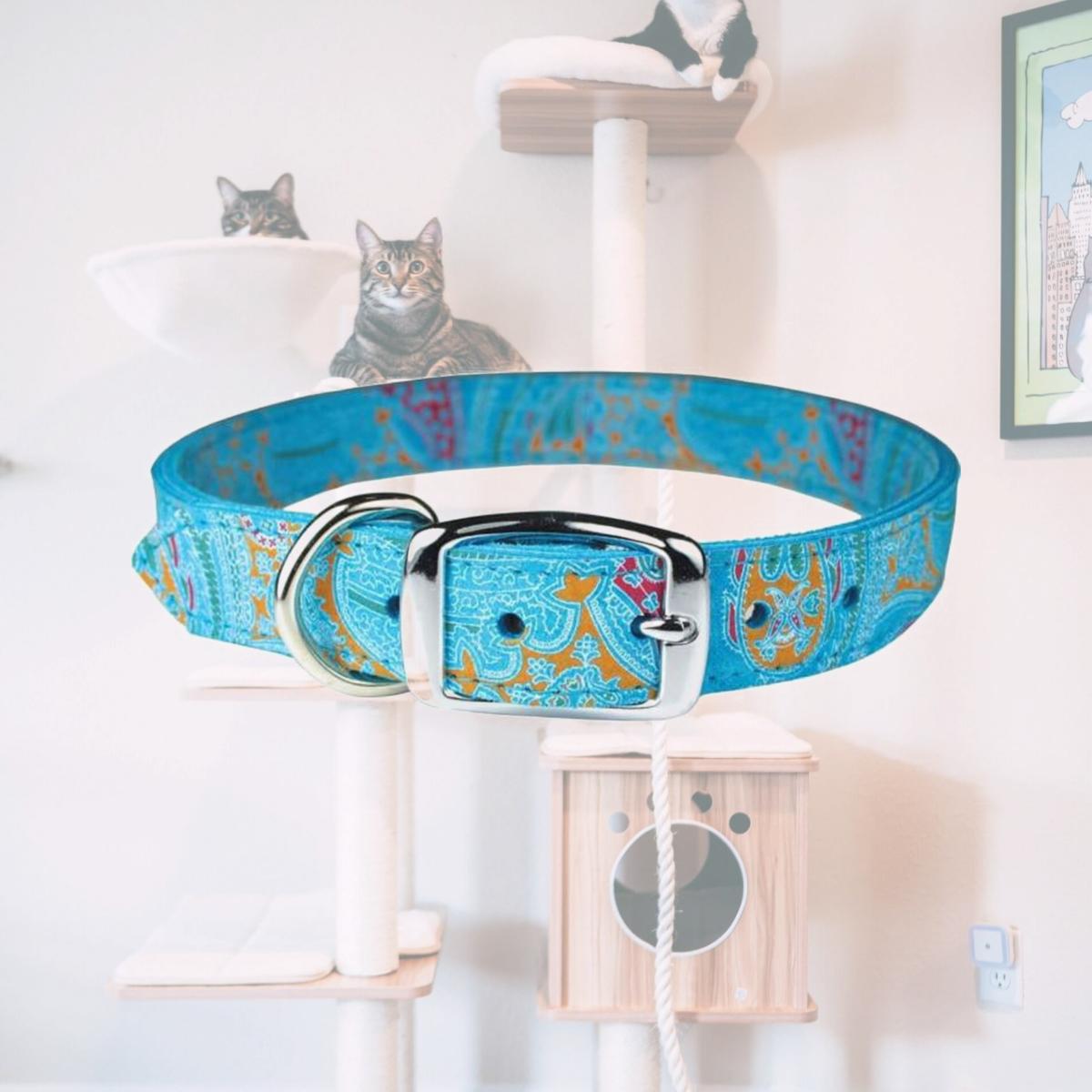 Picture of Leather Brothers 6247-TQ20 0.75 x 20 in. Paisley Dog Collar, Turquoise