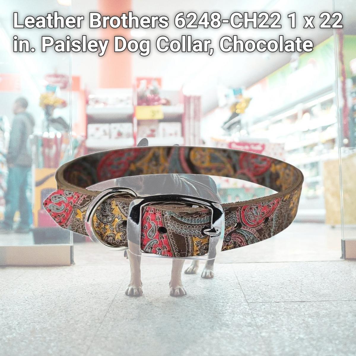 Picture of Leather Brothers 6248-CH22 1 x 22 in. Paisley Dog Collar, Chocolate