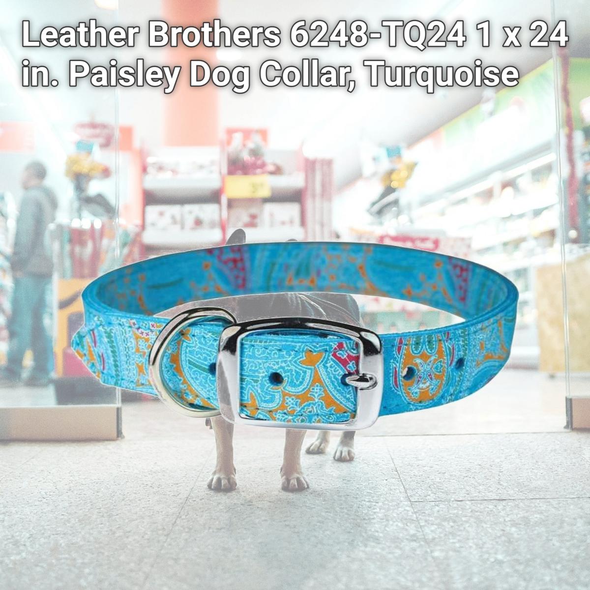 Picture of Leather Brothers 6248-TQ24 1 x 24 in. Paisley Dog Collar, Turquoise
