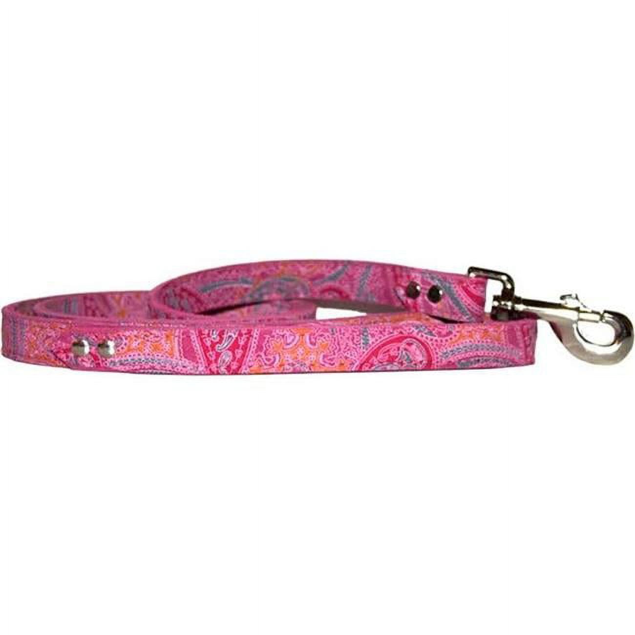 Picture of Leather Brothers 6254-PK 0.5 x 4 ft. Paisley Dog Leash, Pink