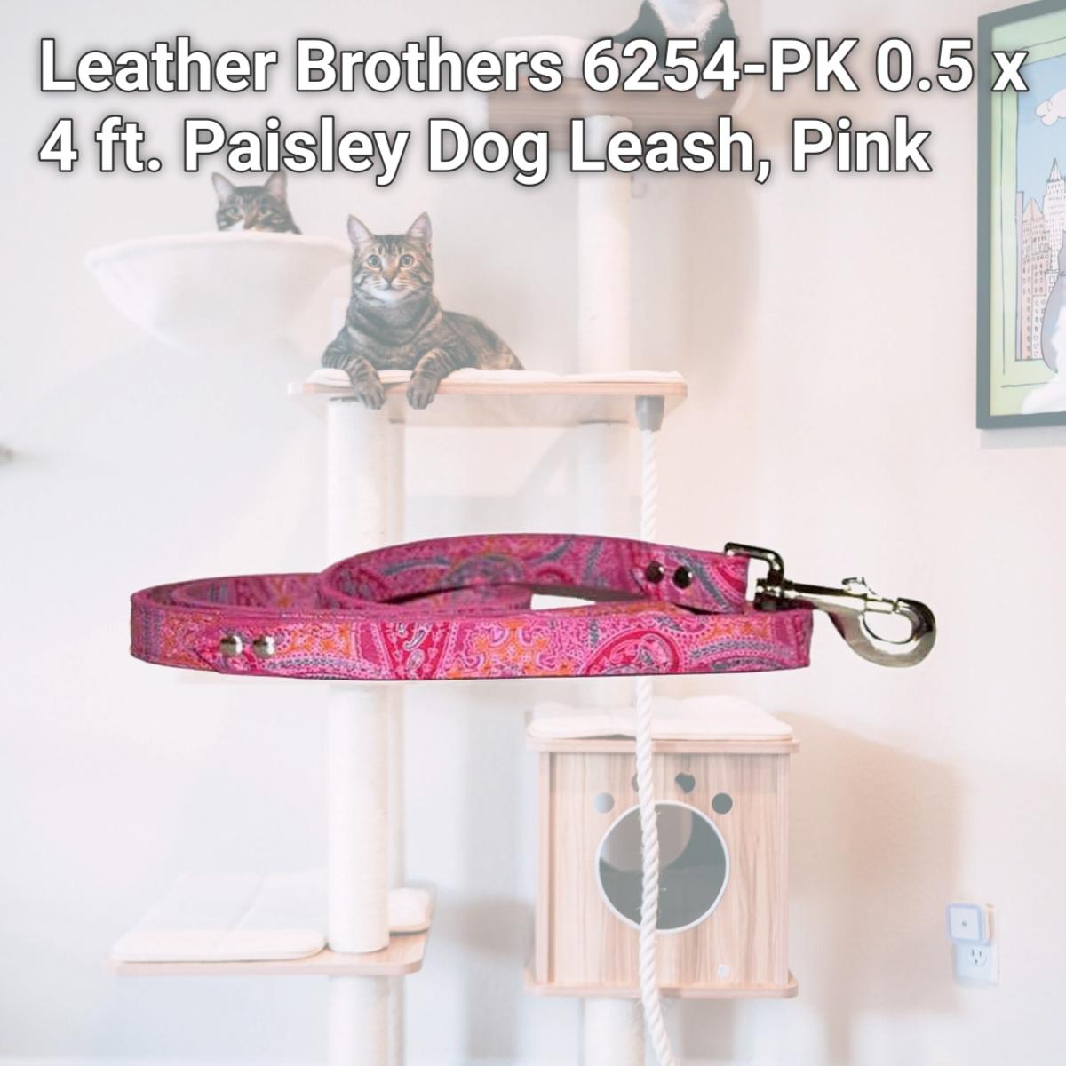 Picture of Leather Brothers 6254-PK 0.5 x 4 ft. Paisley Dog Leash, Pink