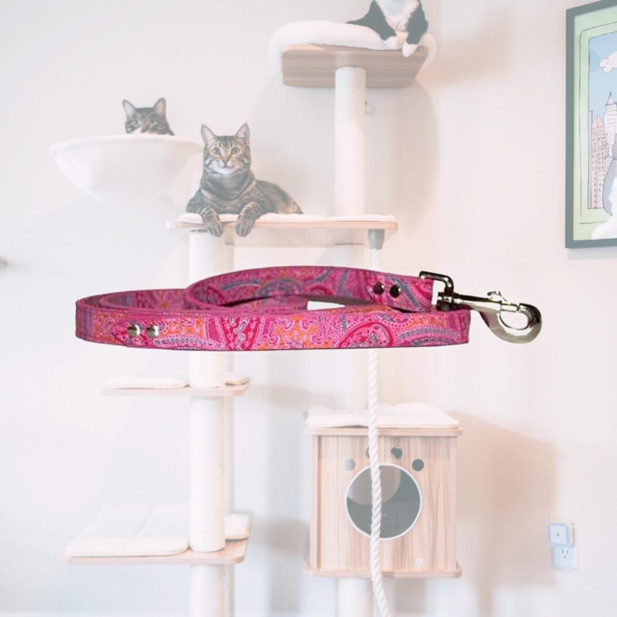 Picture of Leather Brothers 6254-PK 0.5 x 4 ft. Paisley Dog Leash, Pink