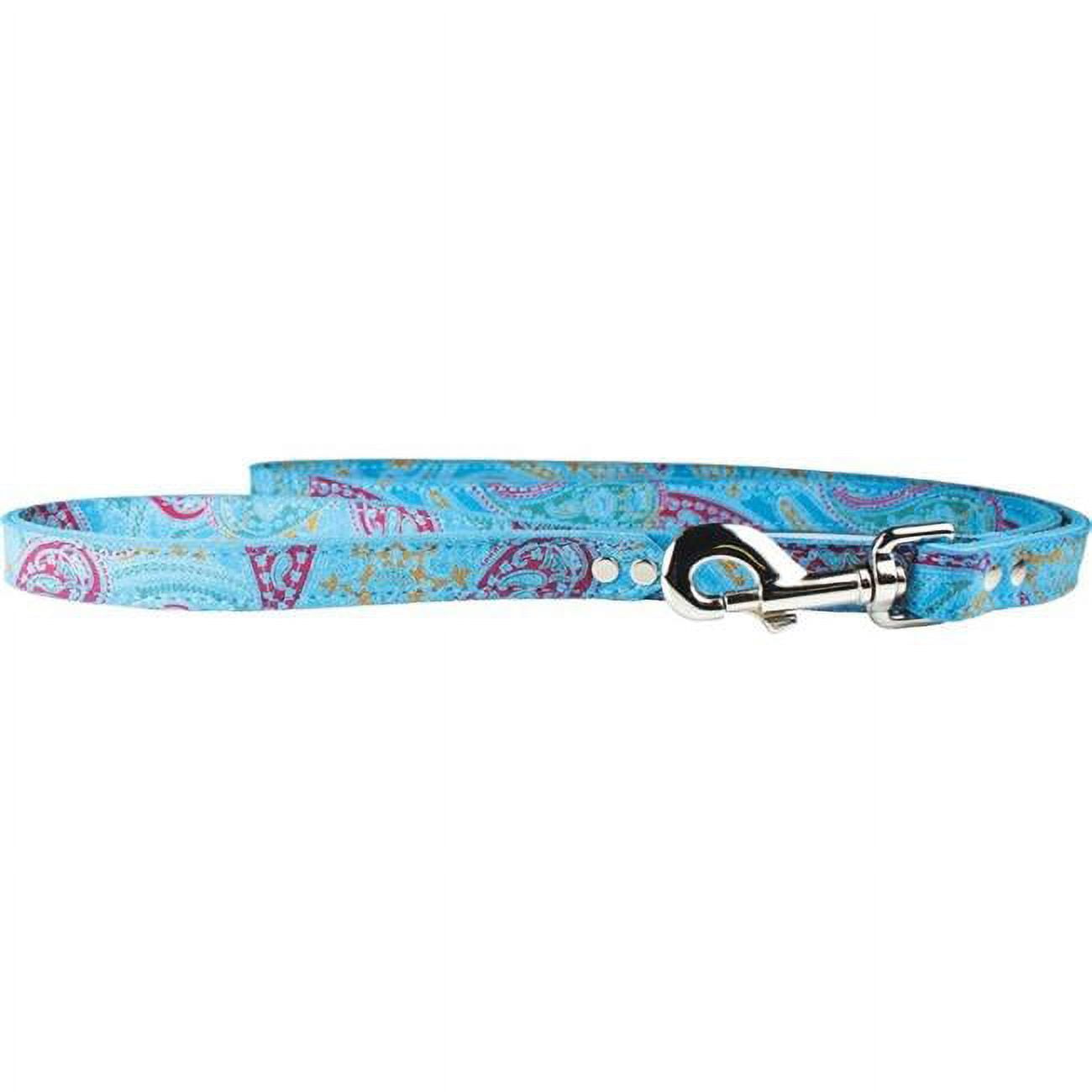 Picture of Leather Brothers 6254-TQ 0.75 x 4 ft. Paisley Dog Leash, Blue
