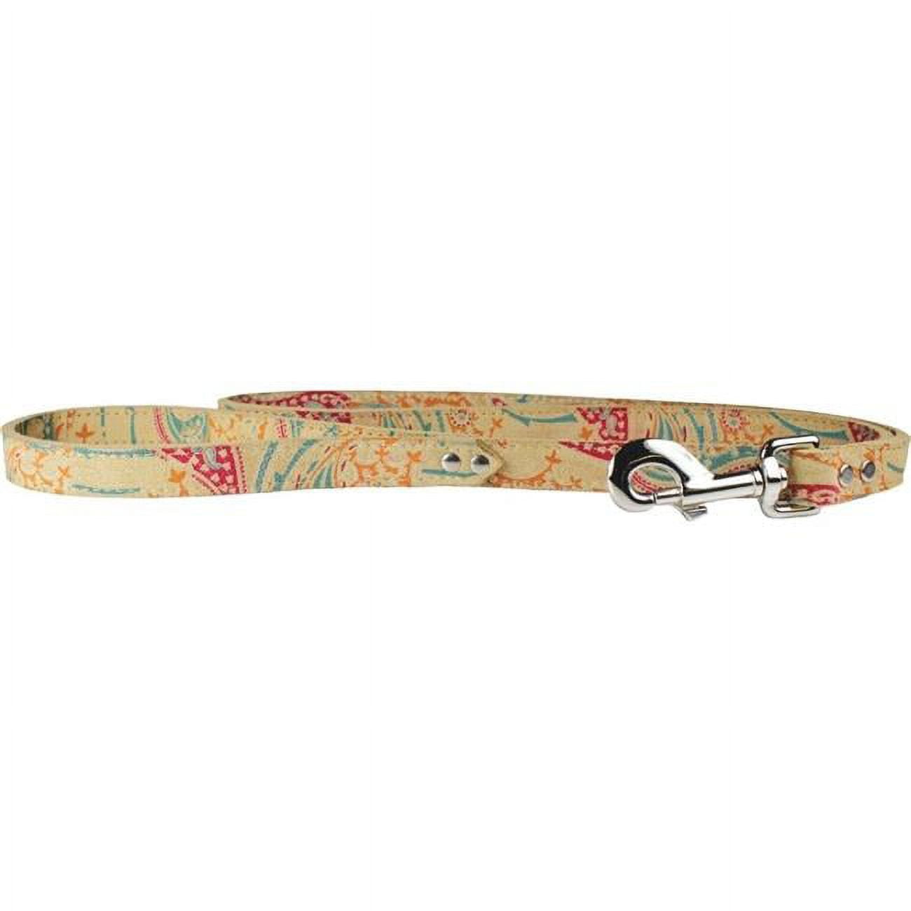 Picture of Leather Brothers 6255-SD 0.75 x 4 ft. Paisley Dog Leash, Sand