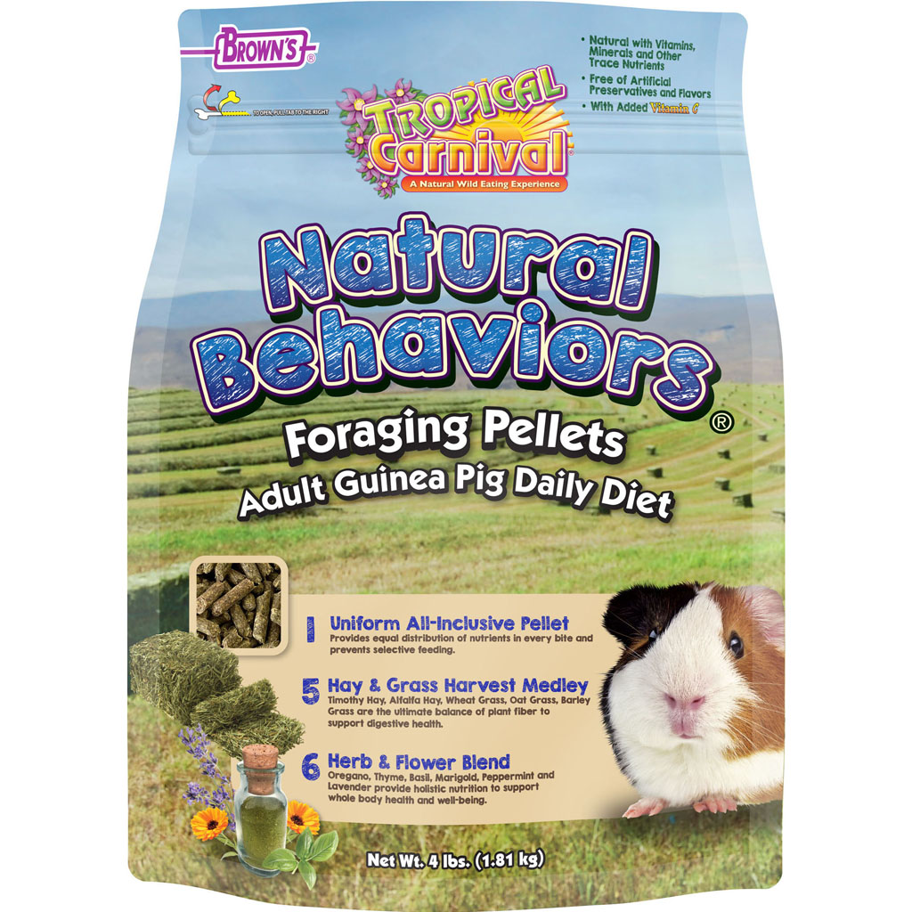 Picture of Browns 45090 Tropical Carnival Foraging Pellets Guinea Pig Food - 4 lbs - Case of 3