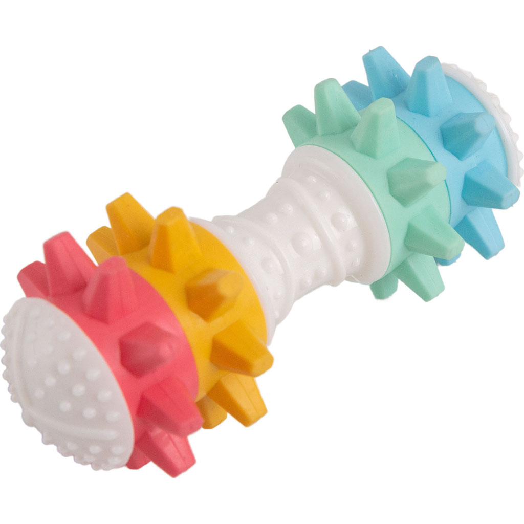 Picture of Snugarooz 99512 6 in. Shake If Off Nylon Bone Dog Toy with 4 Rings - Case of 48