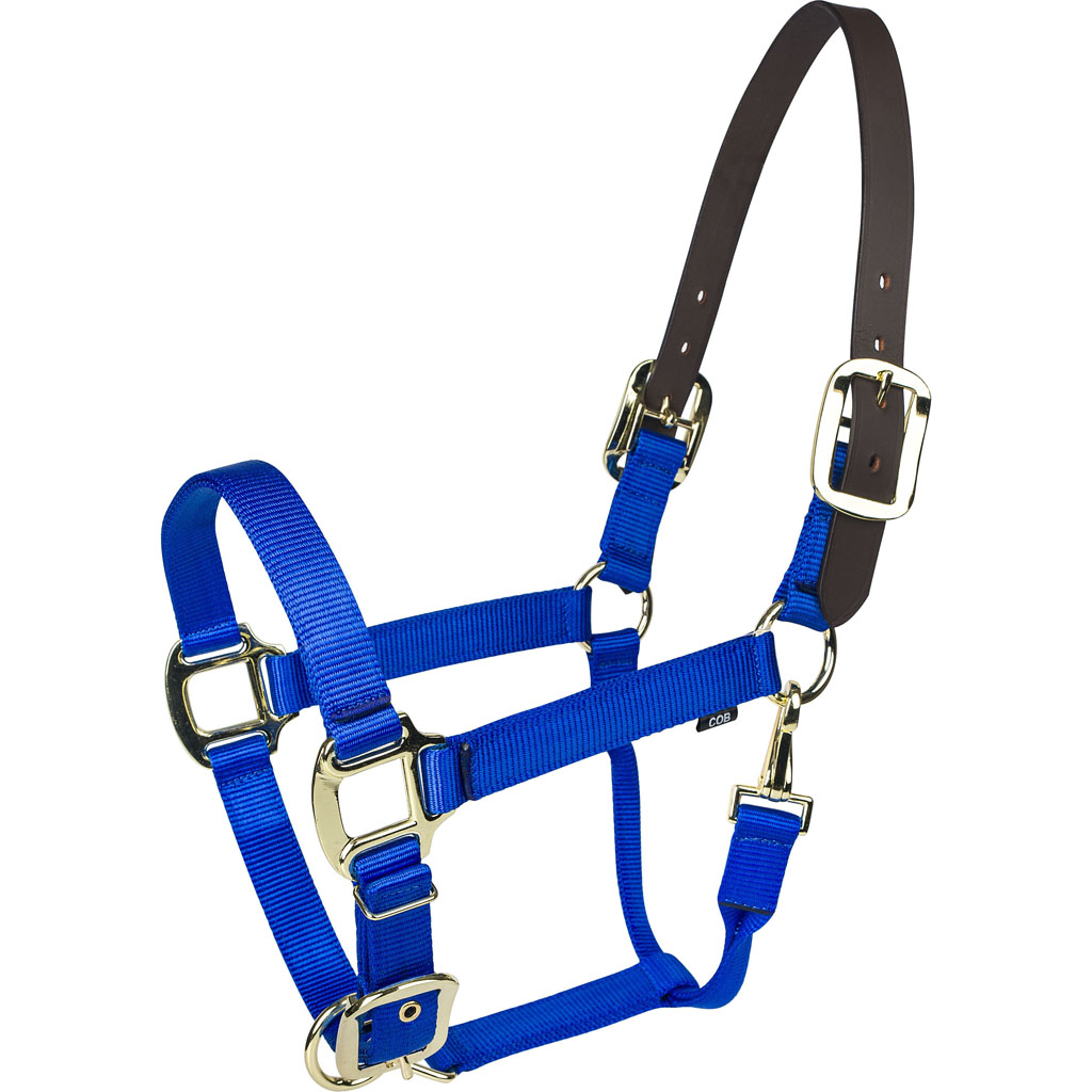 Picture of Gatsby 4-367756 Gold Nylon Breakaway Halter - Blue - COB