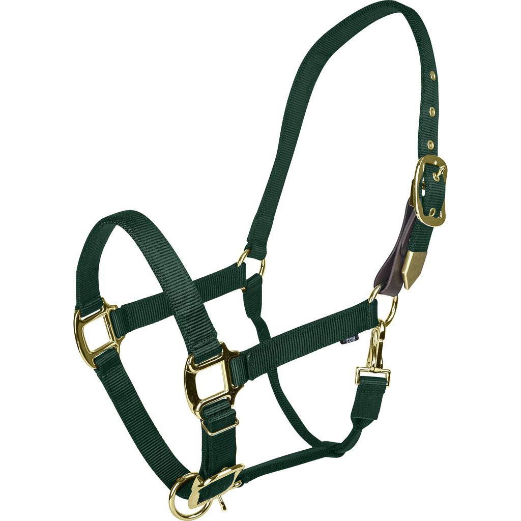 Picture of Gatsby 4-394652 Gold Adjustable Safety Breakaway Halter - Hunter Green - Pony