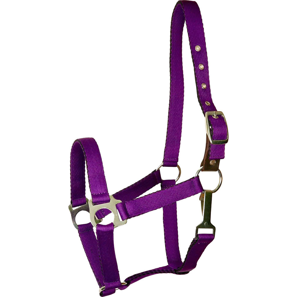Picture of Gatsby 5-121173 Ultra Soft Nylon Safety Halter - Purple - Horse