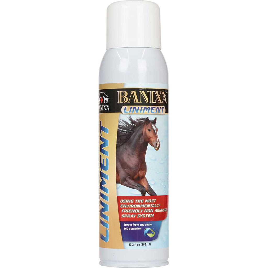 Picture of Banixx 2227 13.2 oz Premium Liniment Boov - Case of 12