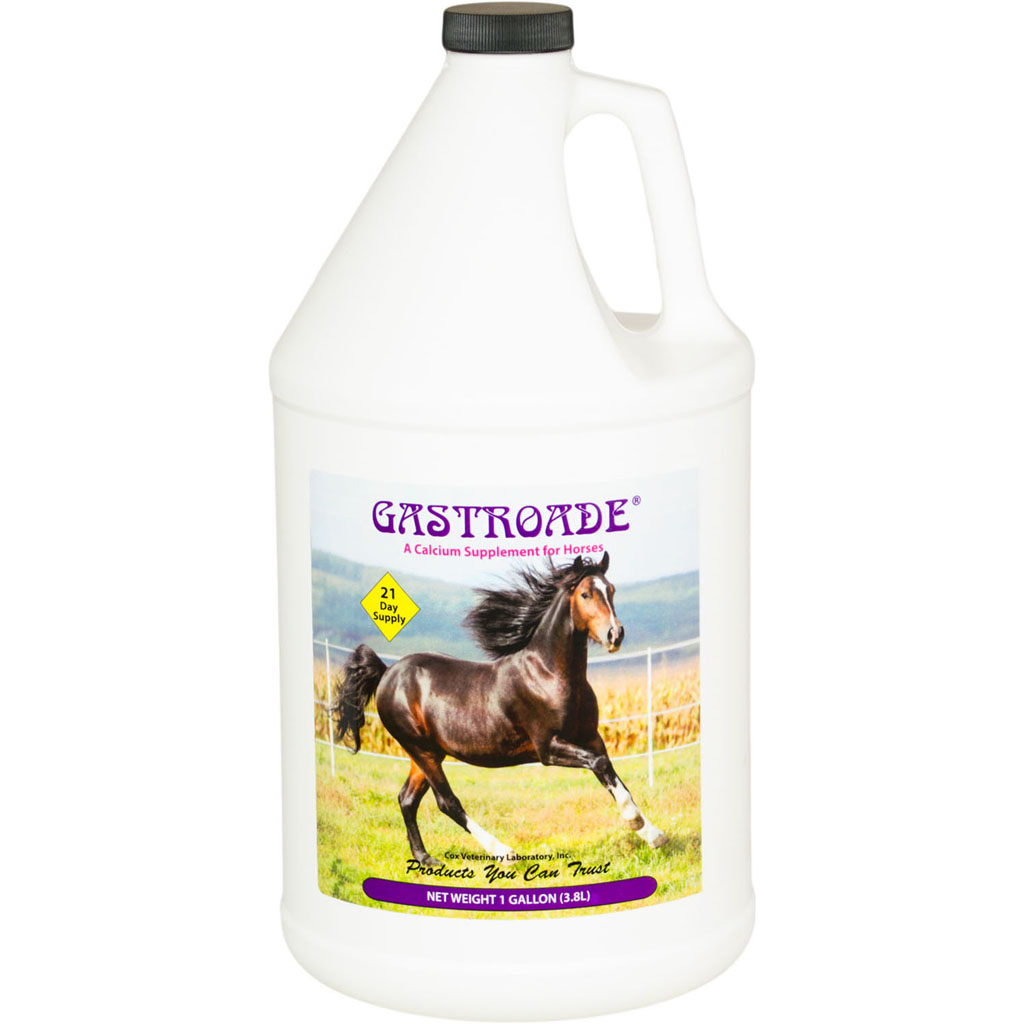 Picture of Cox Vet Lab 1837 Gastroade Calcium Supplement - Cherry - 1 gal - Case of 4
