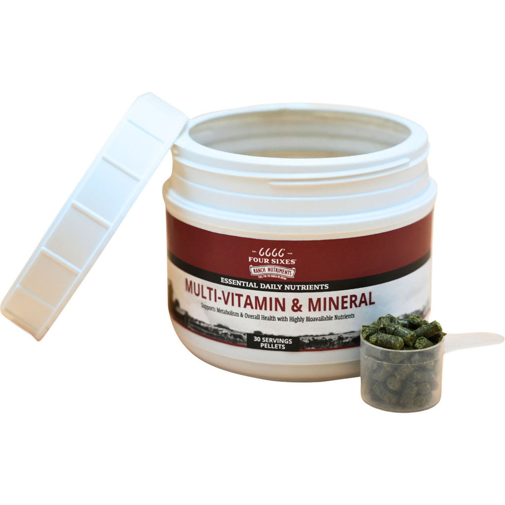 Picture of 6666 Equine Supplements RNVIT30 6666 Multi-Vitamin & Mineral Pellets - 1 lbs - Case of 12