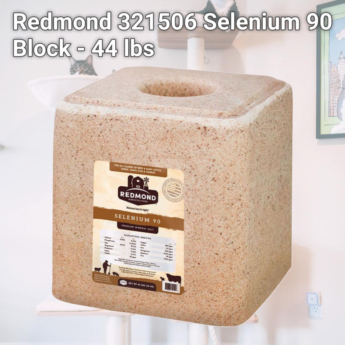 Picture of Redmond 321506 Selenium 90 Block - 44 lbs