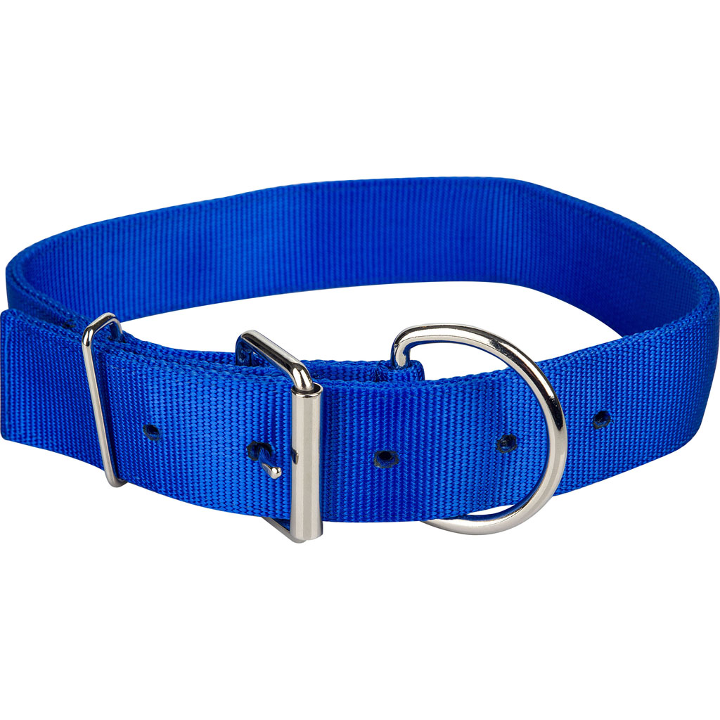 Picture of Gatsby 4-367730 1.75 x 44 in. Nylon Cattle Collar - Blue