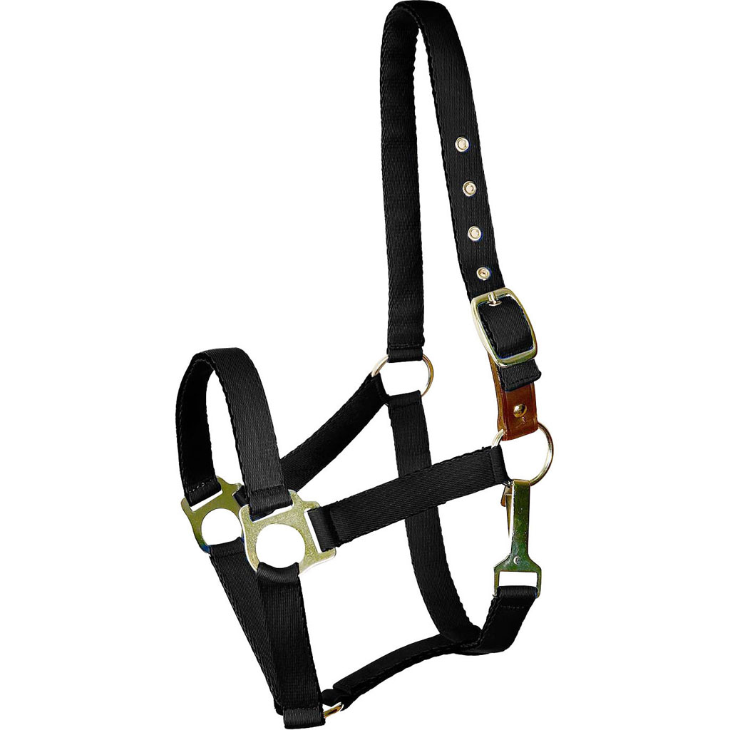 Picture of Gatsby 5-267142 Ultra Soft Nylon Safety Halter&#44; Black - Pony