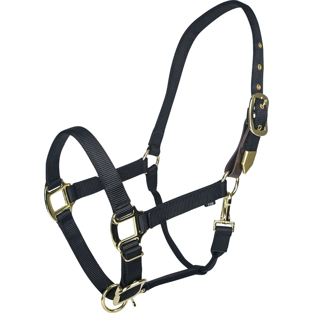 Picture of Gatsby 4-394641 Gold Adjustable Safety Breakaway Halter - Black - COB