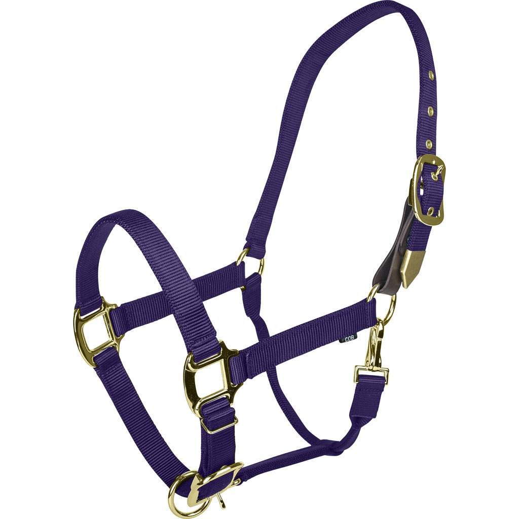 Picture of Gatsby 4-394651 Gold Adjustable Safety Breakaway Halter - Purple - Oversize
