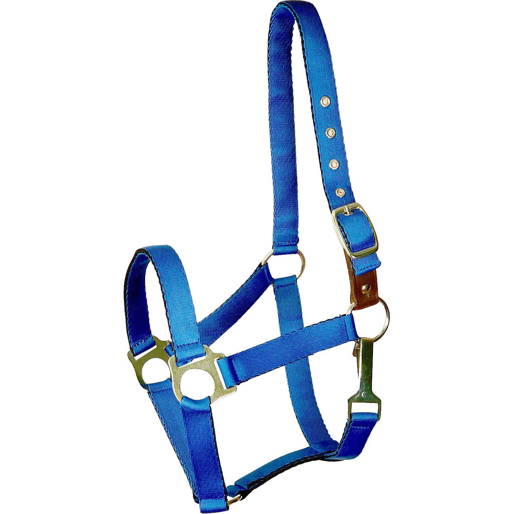 Picture of Gatsby 5-121171 Ultra Soft Nylon Safety Halter - Royal Blue - Horse