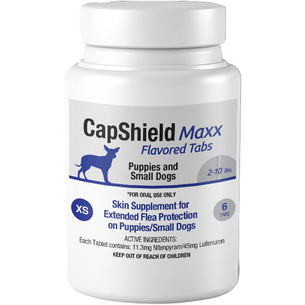 Picture of Capshield Maxx 182321 Dog Monthly Flea Supplement Chewable - 6 Count - 2-10 lbs - Case of 40