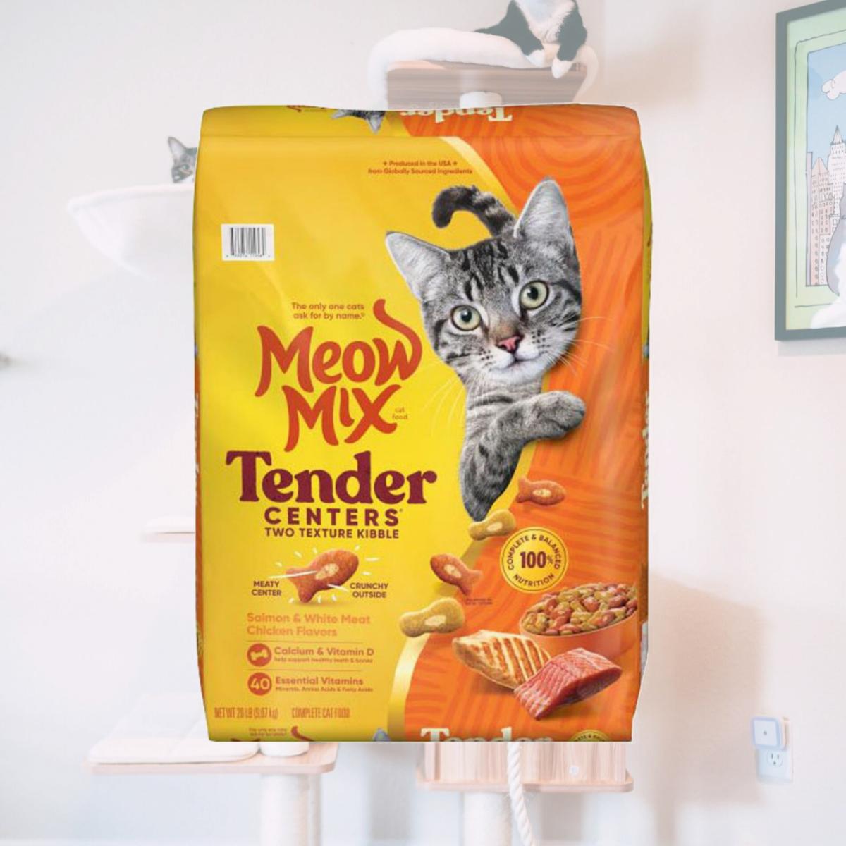 Picture of Meow Mix 2927411958 20 lbs Tender Centers Dry Cat Food&#44; Salmon & Chicken