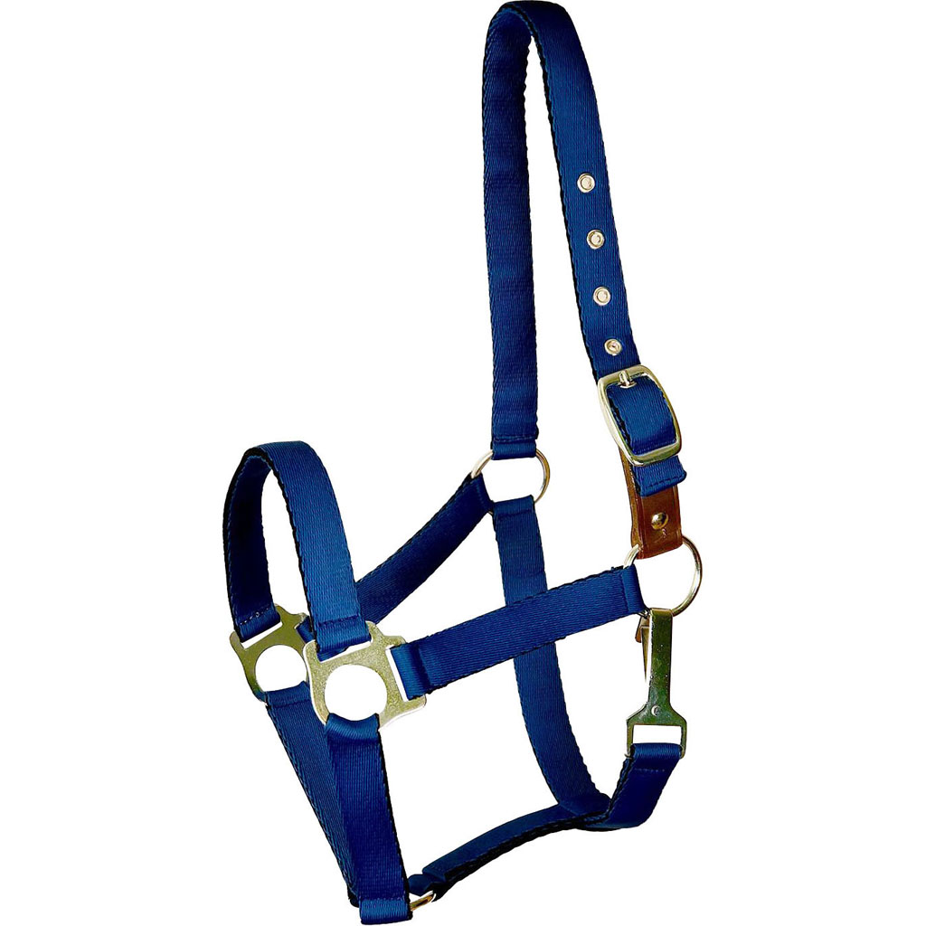 Picture of Gatsby 5-121167 Ultra Soft Nylon Safety Halter - Navy - Horse