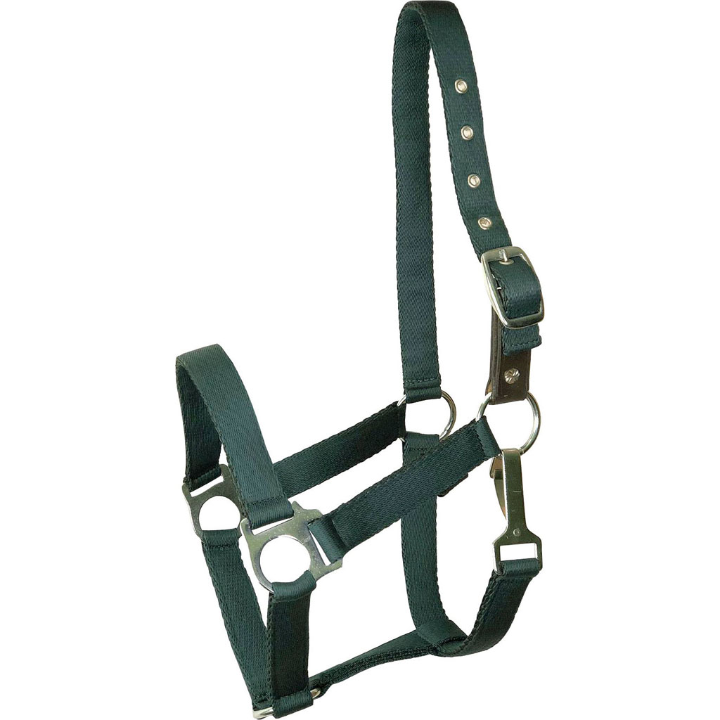 Picture of Gatsby 5-121168 Ultra Soft Nylon Safety Halter&#44; Hunter Green - Horse