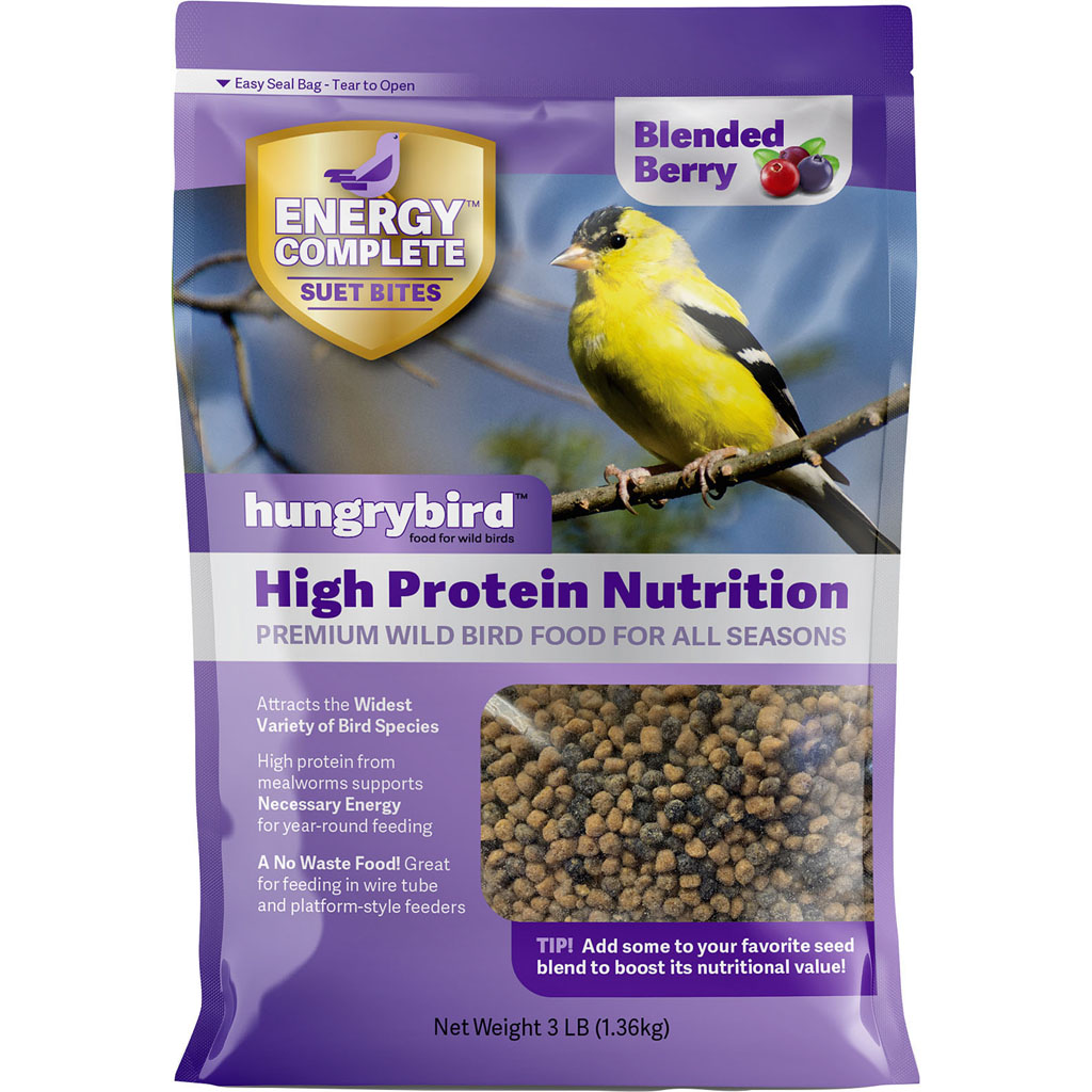 Picture of Hungry Bird BY0600301 Energy Complete Suet Bites - 3 lbs - Berry
