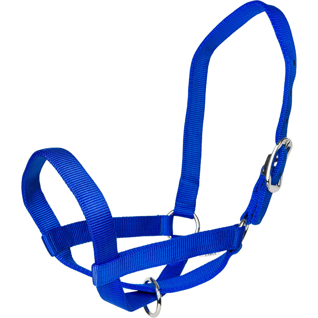 Picture of Gatsby 4-367724 Nylon Cattle Halter - Blue - Medium